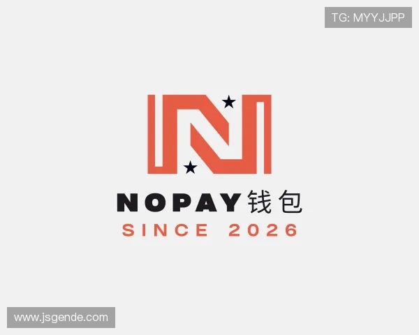 了解NOPAY钱包